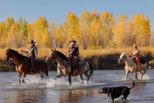 六牧场之心酒店 六牧场之心酒店