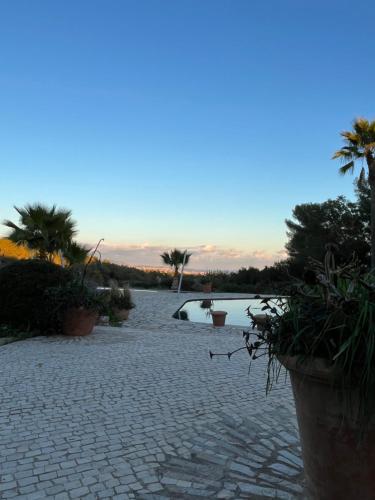 Le clos sainte Marie - Chambre d'hôtes - Roquefort-les-Pins