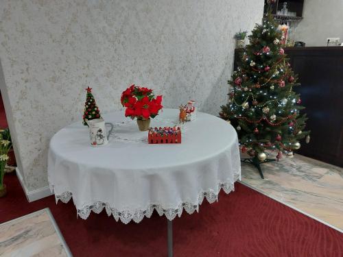 Teju Hotels - image 14