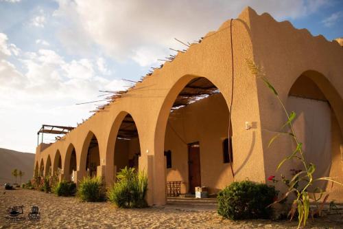 Вид, Hayaat siwa hot spring in Сива