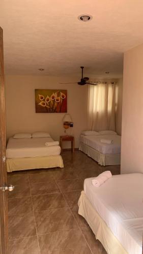 posada cándita Room Type - Standard Family Room