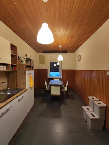 Kitchen, Family Hostel Pivka in Pivka