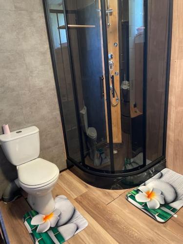 Maison isolée sur piste ski de fond avec cheminée. (Maison isolee sur piste de ski de fond avec terrain de petanque Ideal pour week-end entre amis et fa) in 拉莫哈