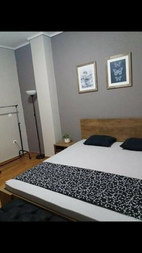 Piraeus historical center Room Type - One-Bedroom Apartment Piraeus historical center Room Type - One-Bedroom Apartment