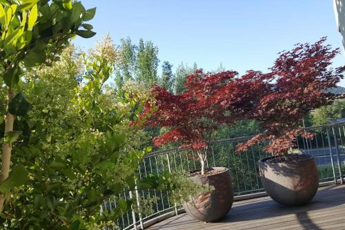 Appartamento vista San Luca con terrazza panoramica, Boloňa (fotografie 10)