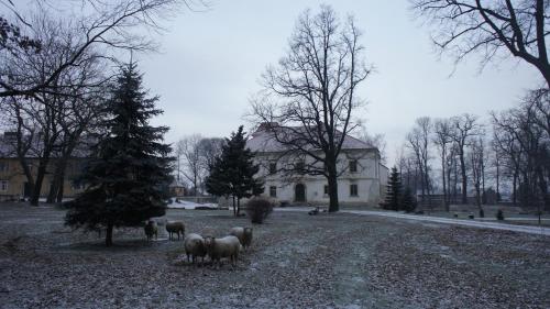 Piotrowice Nyskie Palace