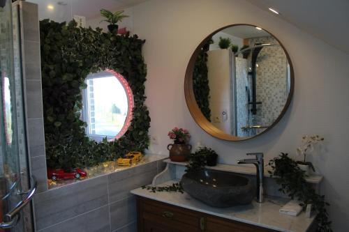  Éco Gîtes Aubelrando & villa-bocage in Aubel