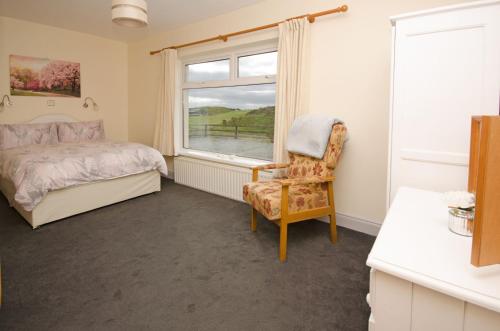 Cottage 171 - Clifden - image 13