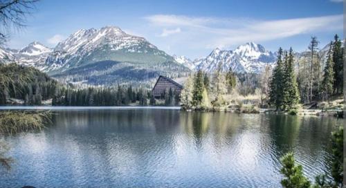 Apartment Tatry Hiking & Wellness in Velka Lomnica