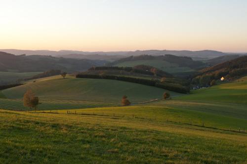 Wüllner's Landgasthof - image 10