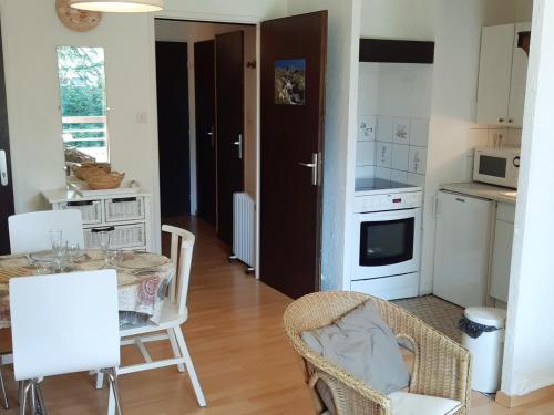Appartement Les Deux Alpes 1 pièce 4 personnes - FR-1-516-51 - image 11