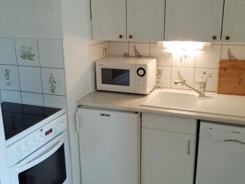 Appartement Les Deux Alpes 1 pièce 4 personnes - FR-1-516-51 - main image