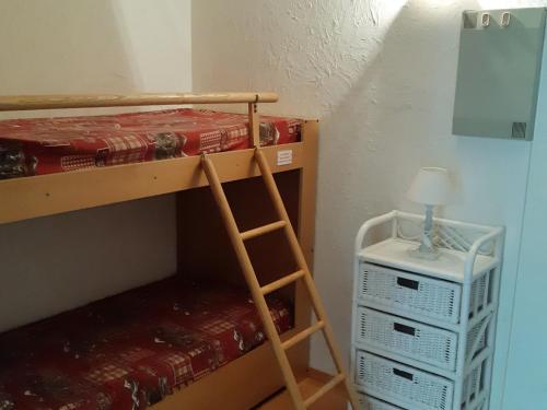 Appartement Les Deux Alpes 1 pièce 4 personnes - FR-1-516-51 - image 8
