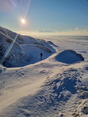 Surrounding environment, Luxury 109m2 cottage DunesNorthSea LøkkenBlokhus Denmark in Hvorup Klit