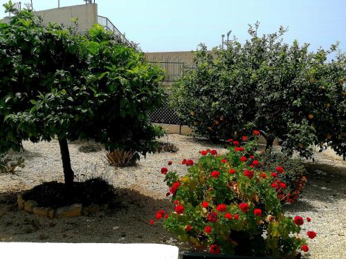 A Heaven on Earth Ενας επιγειος παραδεισος, Peyia (Foto 7)