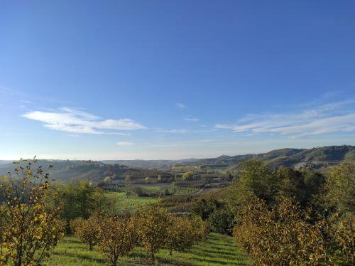 Oasi del Monferrato - appartamento verde in Mombercelli