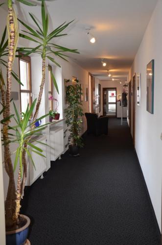 設施, 布魯諾酒店 (Hotel zum Brunnen) in 弗里德貝格