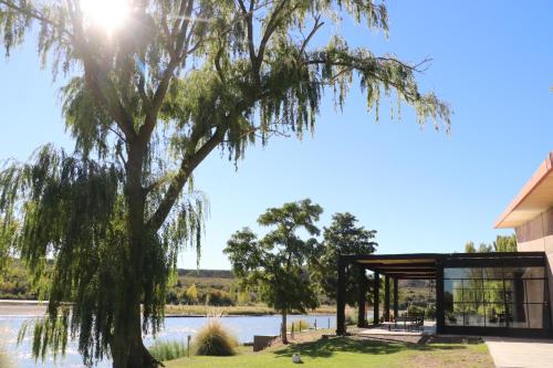 Bodega Trina Suites in Río Colorado