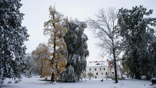 Piotrowice Nyskie Palace