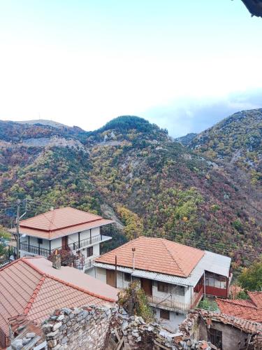 Lagadia Apartments in Lagkadia (Arkadhia)