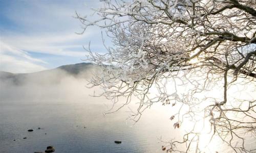 Buitenkant, Boxtree in Ullswater