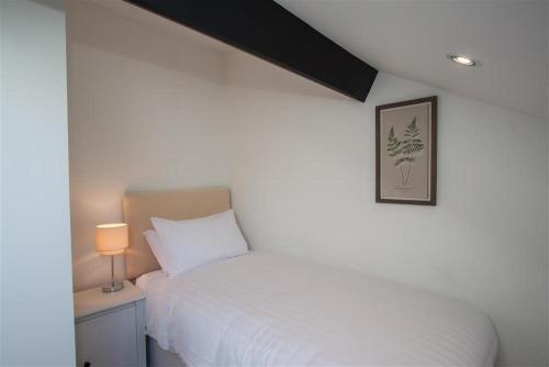 Robins Nest Robins Nest