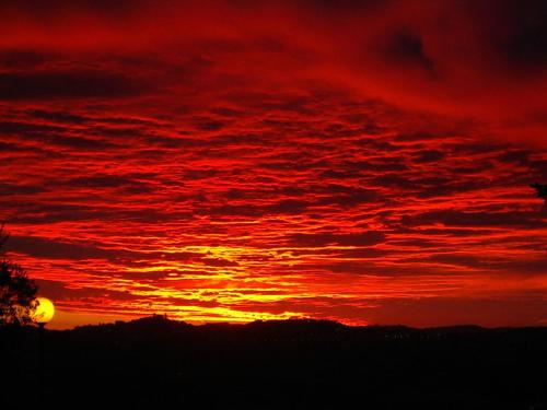 Pensione Delfino Azzurro