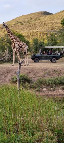 Garden Route Safari Camp