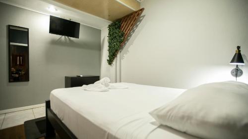 Coati Arenal Lodge, Fortuna (foto 5)
