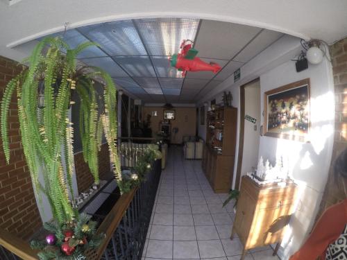 Facilities, Mariana's Petit Hotel near La Aurora International Airport