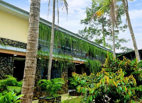Homestay Bảo Bình - 정원