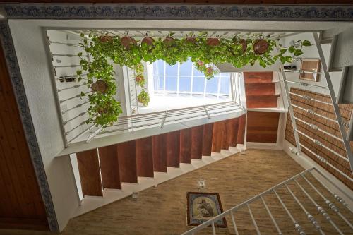Casa Pureza, Sewilla (zdjęcie 3)