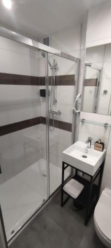 Apartament Miedzianka III