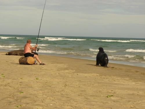 Catlins Newhaven Holiday Park