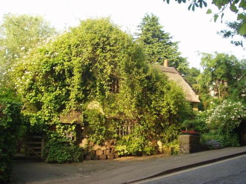 Wizards Thatch Luxury Suites - image 8