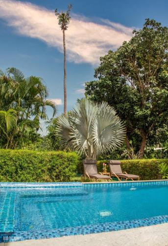 Filou Studio Golf Pool Access 29 67 Filou Studio Golf Pool Access 29 67