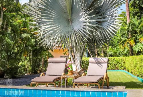 Filou Studio Golf Pool Access 29 67 Filou Studio Golf Pool Access 29 67