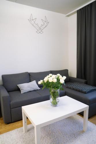 Guestroom, Lovely Northern Apartment in Oulu