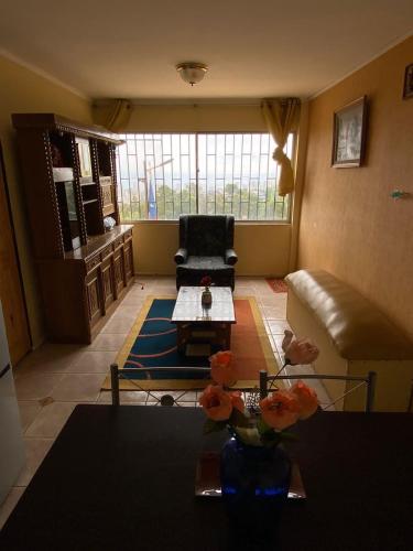 Fela habitaciones viña del mar