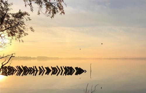 Lovely Home In Lembruch-dmmer See With Sauna