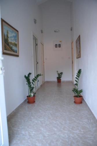 Apartments Vanja - image 5