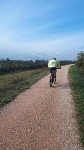 Sulla Ciclabile Apartment lungo il fiume Adige