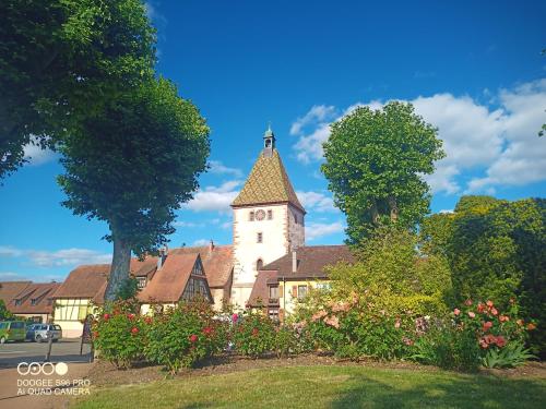 Bergheim Piscine