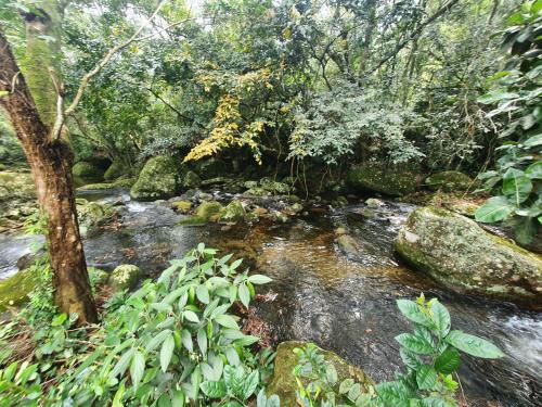 Chalé da cachoeira - Ilhabela (Chale da cachoeira - Ilhabela) in โกกายา