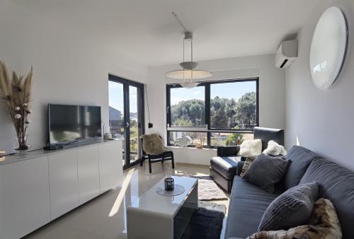 One-Bedroom Apartment image 8