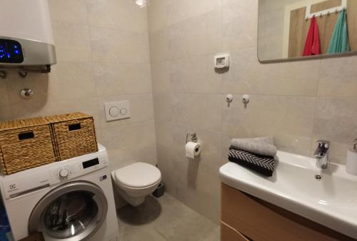 One-Bedroom Apartment image 2