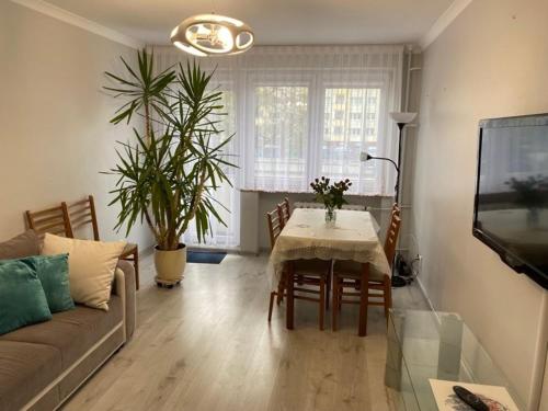 Apartament Przy Katedrze