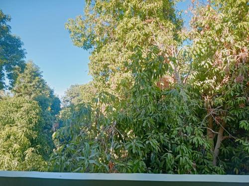 Cattleya Guesthouse - image 2