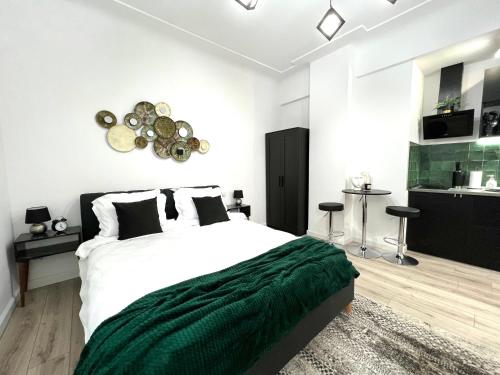 Green Spot - Premium Studio - Sanador Victoriei