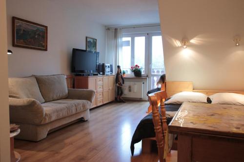 ZAKOgiewont obrázok